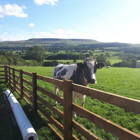 Kemping Wensleydale Glamping Pods Redmire